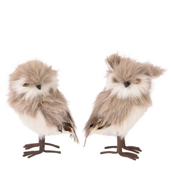 Decoris Standing Taupe Owl (Assorted Designs) image 0
