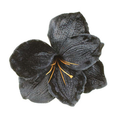 SageDecor Dark Velvet Amaryllis Clip image 0