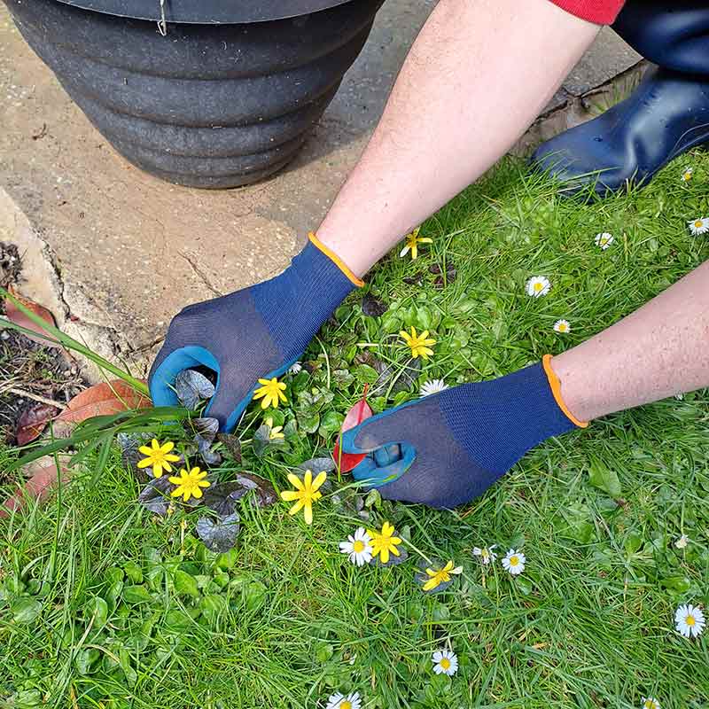 Town & Country ECO-Flex Finesse Gloves image 0