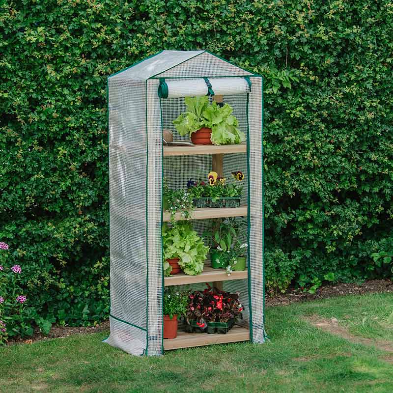 Premium 4 Tier Wooden Growhouse image 0