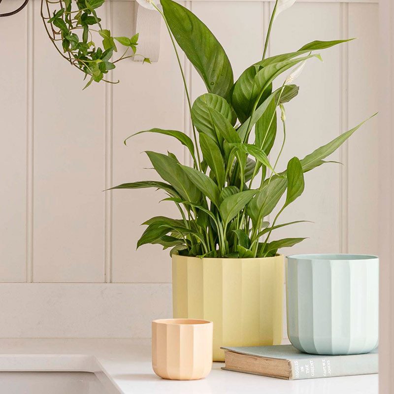 Ivyline Positano Geo Indoor Planter Range image 0
