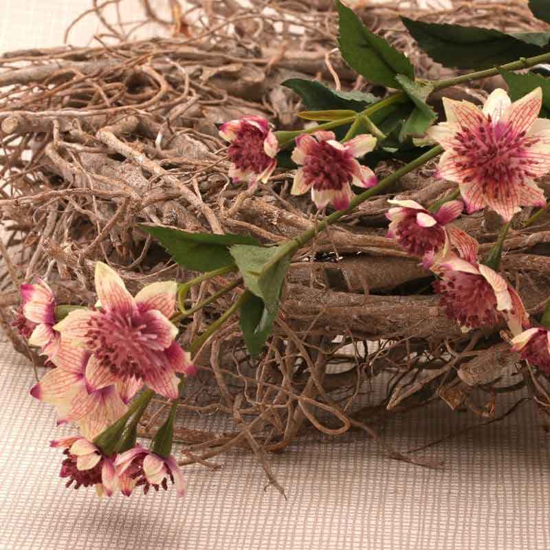 Pink Astrantia Stem -14 Flowers (50cm) image 0