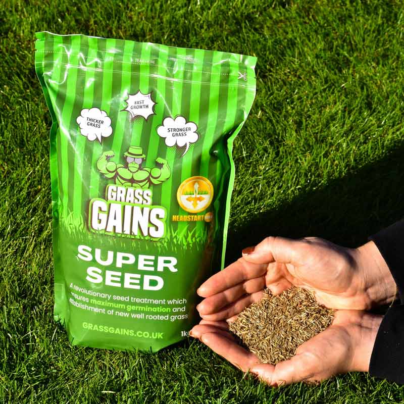 Grass Gains Super Seed Fast Growth Lawn Seed (1kg Pouch) image 0