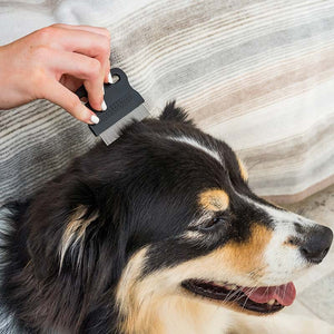 Zoon Flea Comb - All Coats image 1