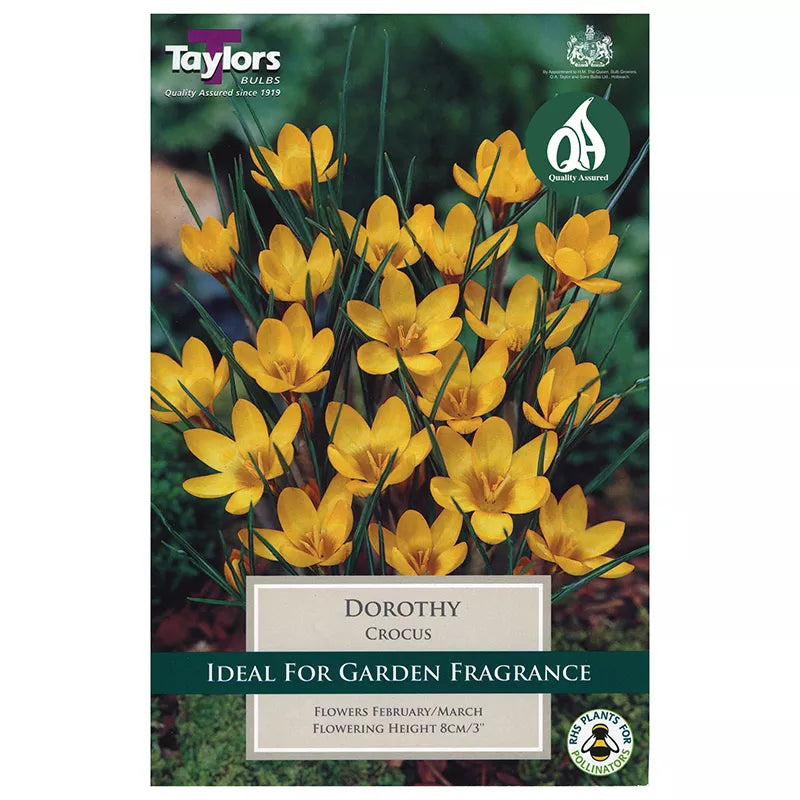 Crocus 'Dorothy' (12 bulbs) image 0