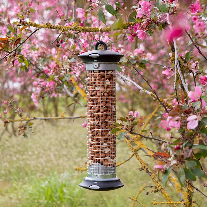 National Trust Apollo Easy Clean Peanut Feeder image 0