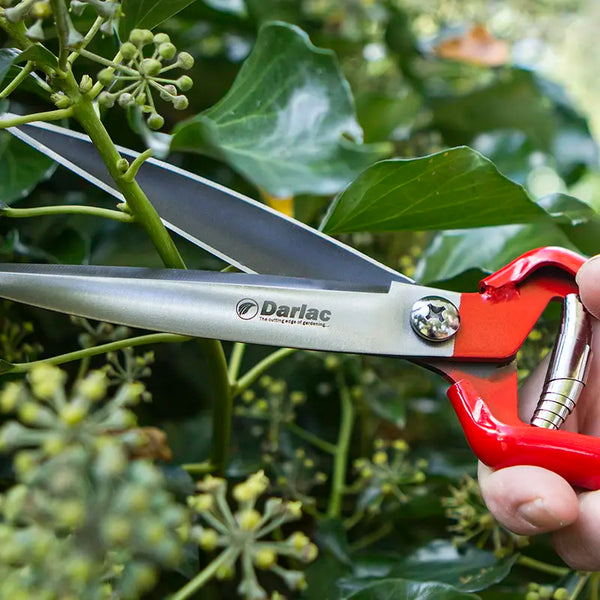 Darlac Perennial Shears image 1