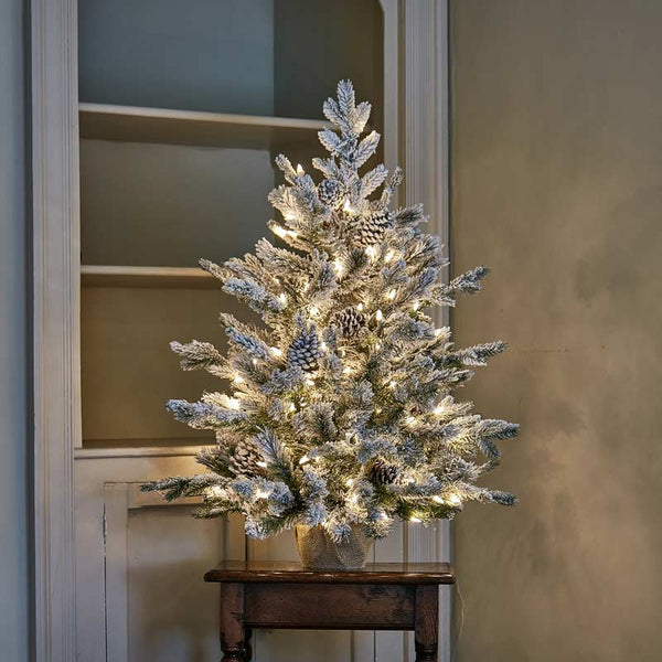 National Tree Snowy Dorchester Pine Pre-Lit Christmas Tree - 3ft image 0