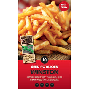 Winston First Early Seed Potatoes (Pack of 10) image 0
