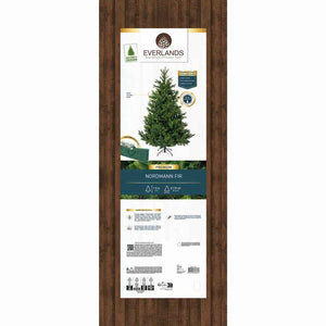 Everlands Nordmann Fir Artificial Christmas Tree – 5ft / 1.5m image 4