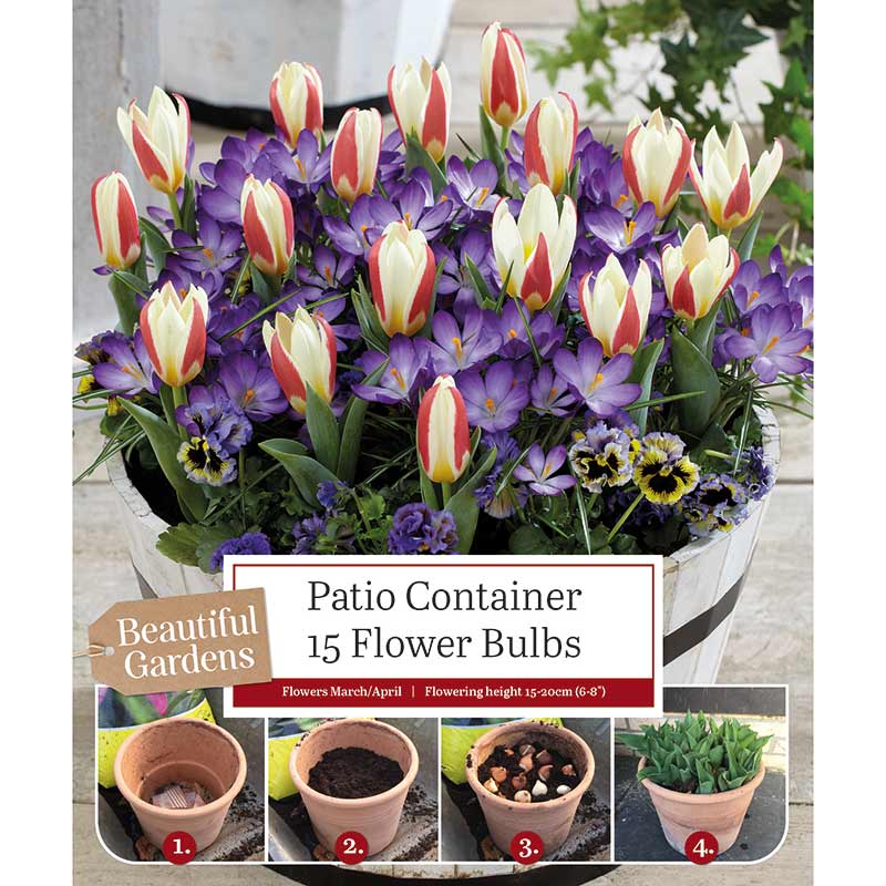 Patio Container Tulip and Crocus Mix (15 Bulbs) image 0