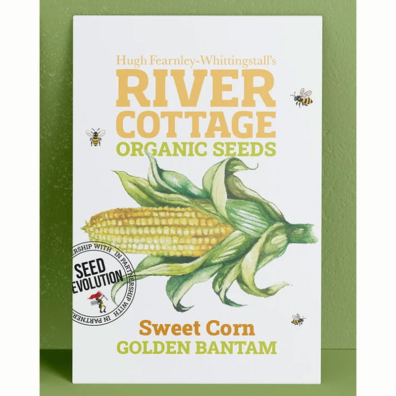 River Cottage Organic Seeds – Sweet Corn ‘Golden Bantam’ (1 Packet) image 0