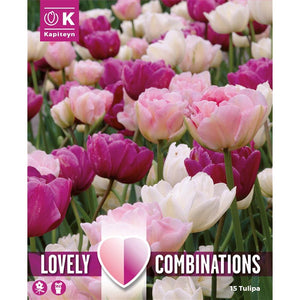 Lovely Combinations Pink, Purple and White Tulips (15 Bulbs) image 0