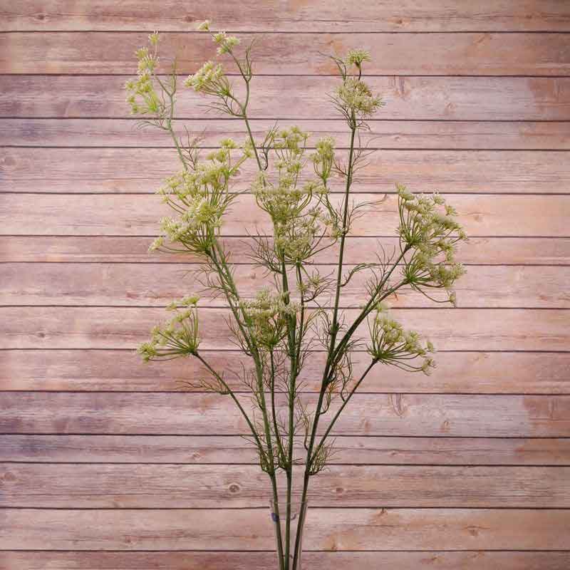 Large Queen Ann Lace Stem (122cm) image 0