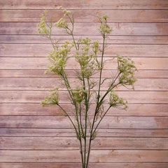 Large Queen Ann Lace Stem (122cm) image 0