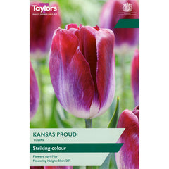 Tulip ‘Kansas Proud’ (7 Bulbs) image 0
