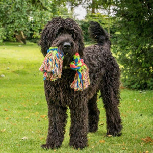 Petface Toyz Triple Knot Rope Dog Toy image 1