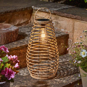 Smart Garden Venus Natural Solar Garden Lantern image 0
