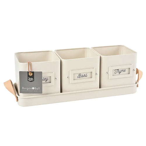 Burgon & Ball 3 Herb Pots in a Leather Handled Tray - Stone image