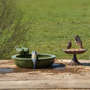 Fallen Fruits Ceramic Round Bird Bath (Assorted Design) image 4