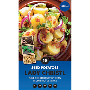 Lady Christl First Early Seed Potatoes - Pack of 10 image