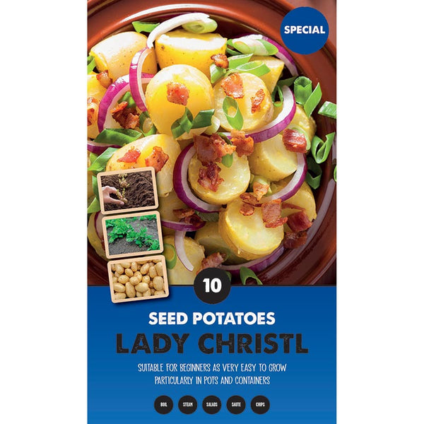 Lady Christl First Early Seed Potatoes - Pack of 10 image