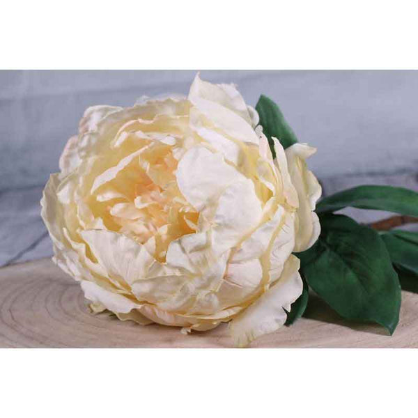 Single Cream Peony Stem (71cm) image 1