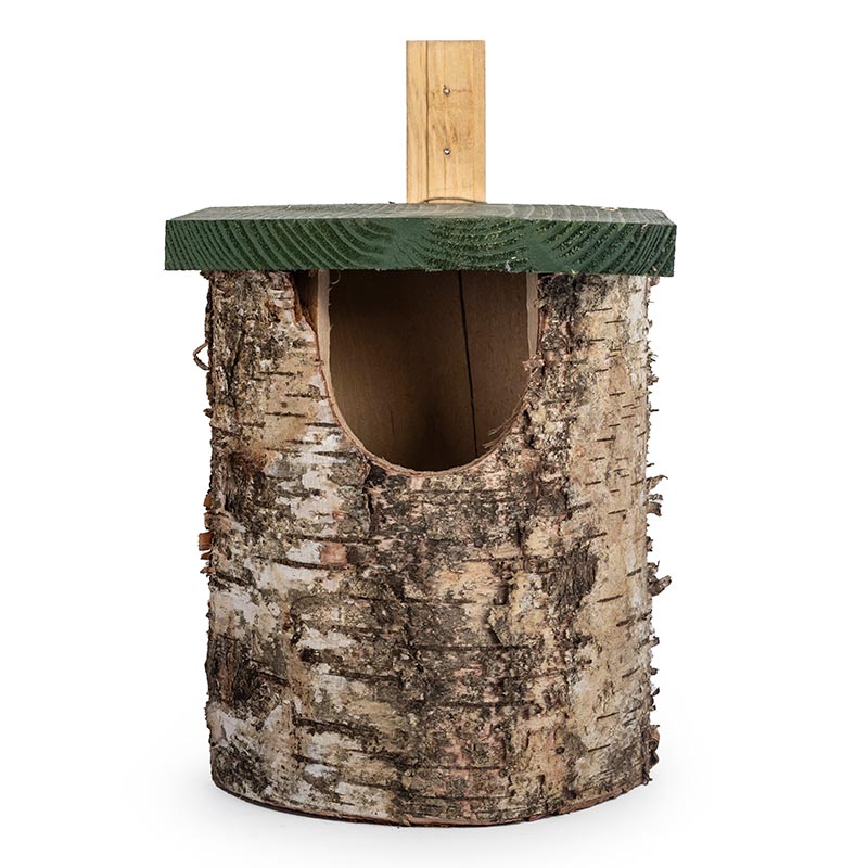 National Trust Birch Open Nest Box image 0