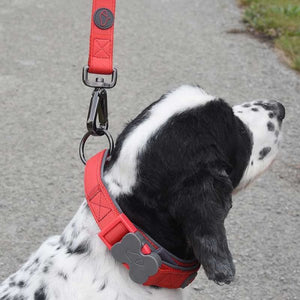 Zoon Uber-Activ Padded Dog Collar image 1