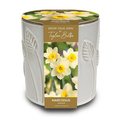Embossed Ceramic Leaf Planter with Narcissus Minow (5 Bulbs) image 0
