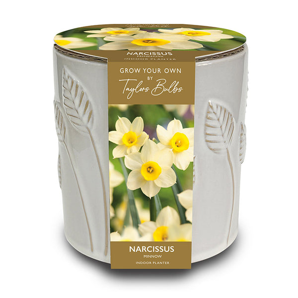 Embossed Ceramic Leaf Planter with Narcissus Minow (5 Bulbs) image 0