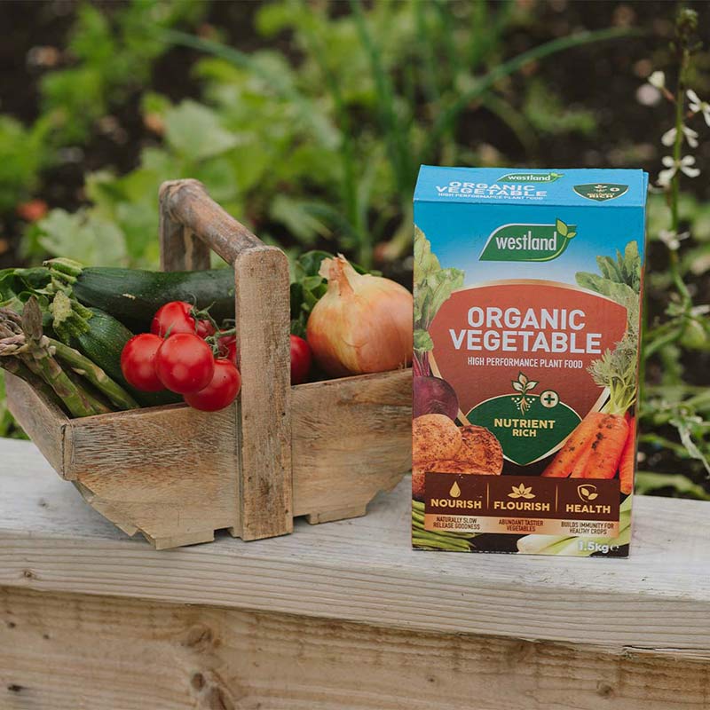 Westland Organic Vegetable High Performance Plant Food (1.5kg) image 0