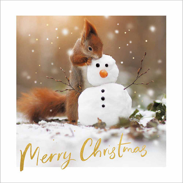 Woodmansterne Squirrel Cuddling Christmas Card image 0