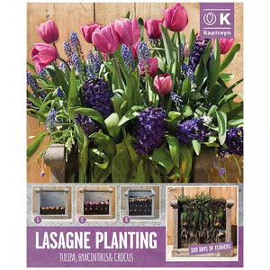Lasagne Planting Bulb Mix 'Pink & Blue' (40 bulbs) image 0