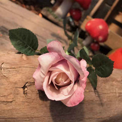 Single Antique Pink Celia Rose Stem (71cm) image 0