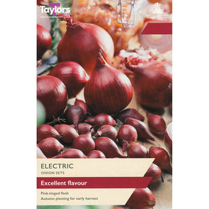 'Electric' Onion Sets (50 Bulbs) image 0