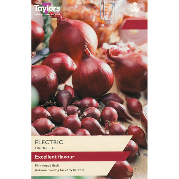 'Electric' Onion Sets (50 Bulbs) image 0