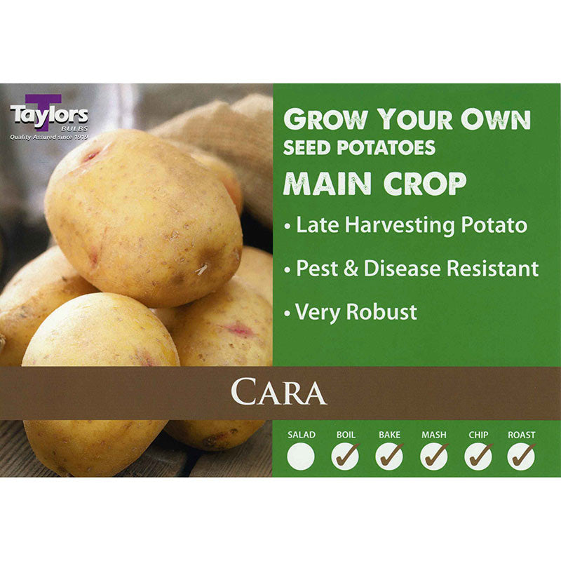 Cara Main Crop Seed Potatoes image 0