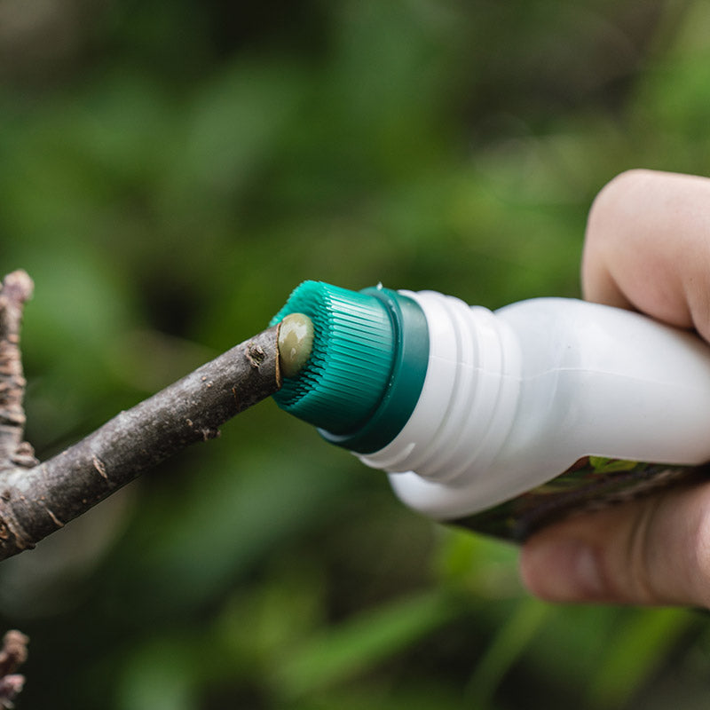 Westland Growing Success Prune & Seal (250ml) image 0