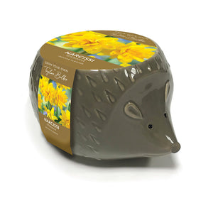 Hedgehog Indoor Planter with Narcissus 'Rip Van Winkle' (3 bulbs) image 0