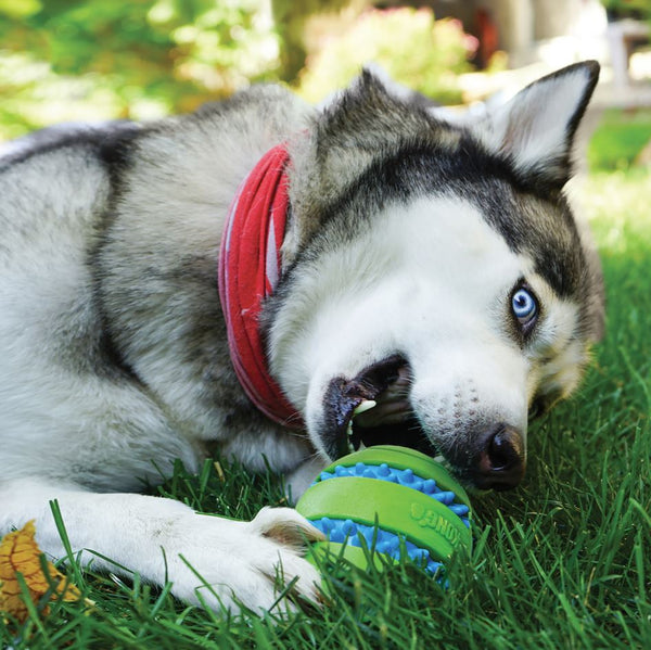 Kong Squeezz Goomz Ball image 2
