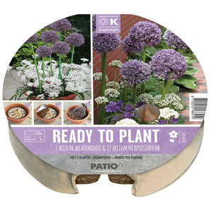 Ready to Plant Plant-O-Mat Allium 24cm/9.5" (19 bulbs) image 0