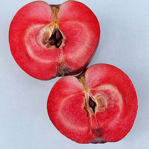 Malus ‘Heather’ Dwarf Apple Tree (5.5-Litre Pot) image 1