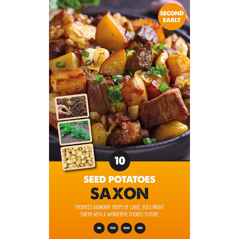 Saxon Second Early Seed Potatoes (Pack of 10) image 0