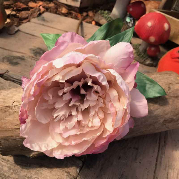 Single Antique Pink Peony Stem (71cm) image 0