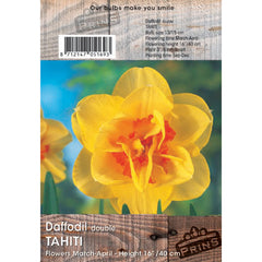 Narcissus ‘Tahiti’ Double Daffodil (3kg Bag of Bulbs) image 0