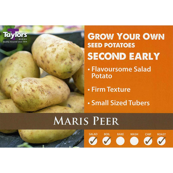 Maris Peer Second Early Seed Potatoes - 2kg image