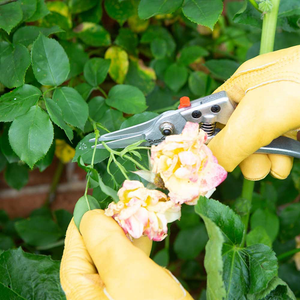 Wilkinson Sword Razorcut Comfort Pruning Snips image 1
