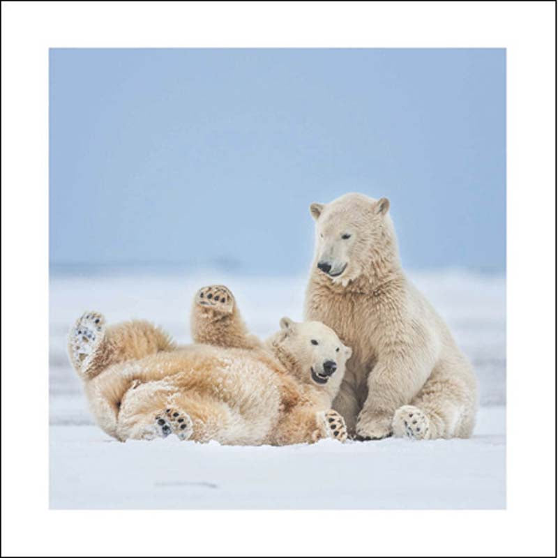 Woodmansterne Festive Fun Polar Bear Christmas Card image 0