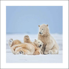 Woodmansterne Festive Fun Polar Bear Christmas Card image 0